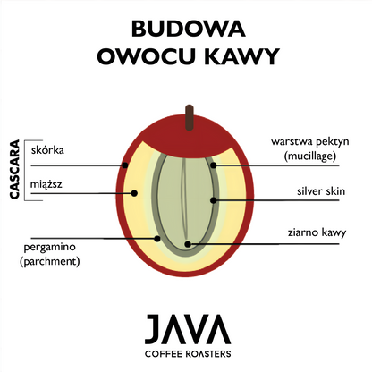 Koncentrat z Cascary 1,5L [Suszone Owoce Kawowca]