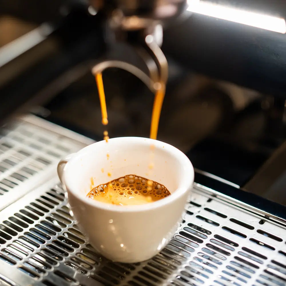 Specialty Coffee  Indonesia Buana Mandiri Organic