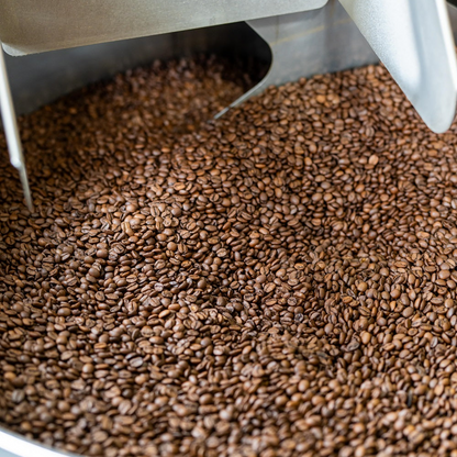 Specialty Coffee Tanzania Malolo