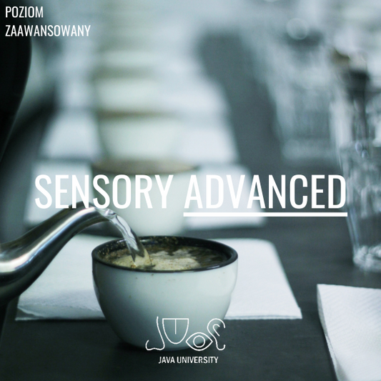 INDIVIDUAL TRAINING Sensory Advanced